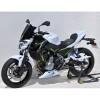 ERMAX Kawasaki Z650 2017 2019 garde boue AR lèche roue BRUT A PEINDRE