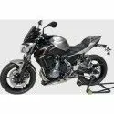 ERMAX Kawasaki Z650 2017 2019 rear mudguard PAINTED