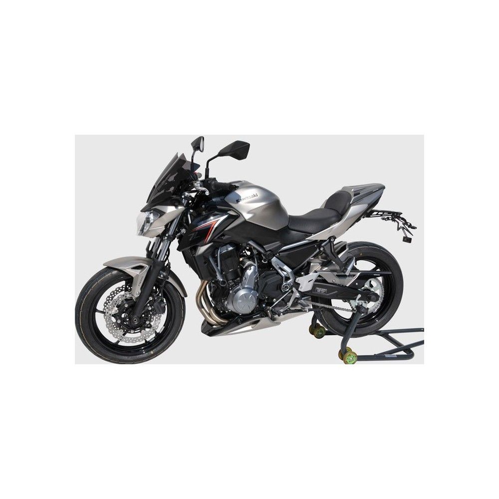 ERMAX Kawasaki Z650 2017 2019 garde boue AR lèche roue PEINT