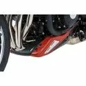 ERMAX Kawasaki Z900 RS 2018 2019 2020 2021 sabot moteur PEINT