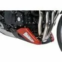 ERMAX Kawasaki Z900 RS 2018 2019 2020 2021 belly pan PAINTED