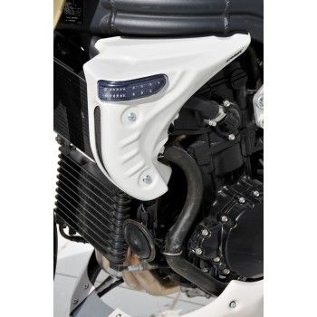 écopes de radiateur brut ermax triumph 1050 SPEED TRIPLE 2005-2007