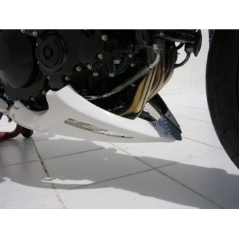 ermax painted engine bugspoiler triumph 1050 SPEED TRIPLE 2005 to 2010