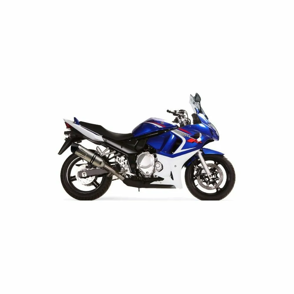 LEOVINCE Suzuki GSF 650 BANDIT / S / GSX-F 650 / 2007 2015 SBK LV ONE EvoII silencer not CE approved 8415E