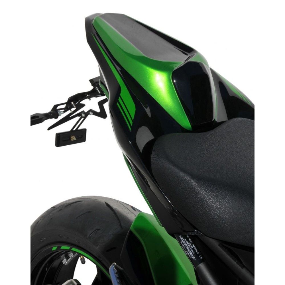 ERMAX Kawasaki Z900 2020 2021 capot de selle PEINT