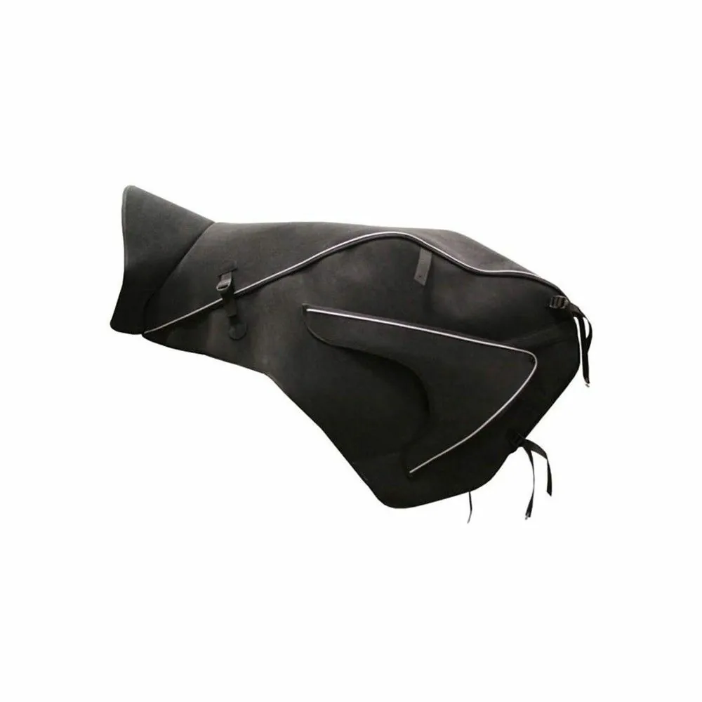BAGSTER BRIANT tablier protection hiver YAMAHA  FJR 1300 / 2001 2020 - AP3074FR