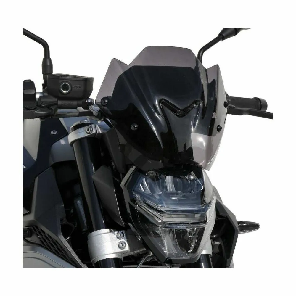 ermax bmw F900 R 2020 2021 hyper sport windscreen