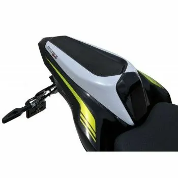 ERMAX Kawasaki Z900 2020 2021 capot de selle PEINT