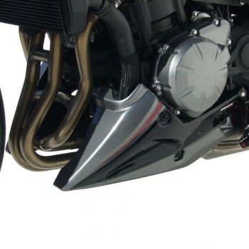 ERMAX Kawasaki Z900 2020 2021 sabot moteur PEINT
