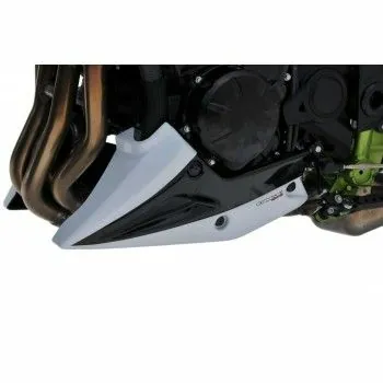 ERMAX Kawasaki Z900 2020 2021 belly pan PAINTED