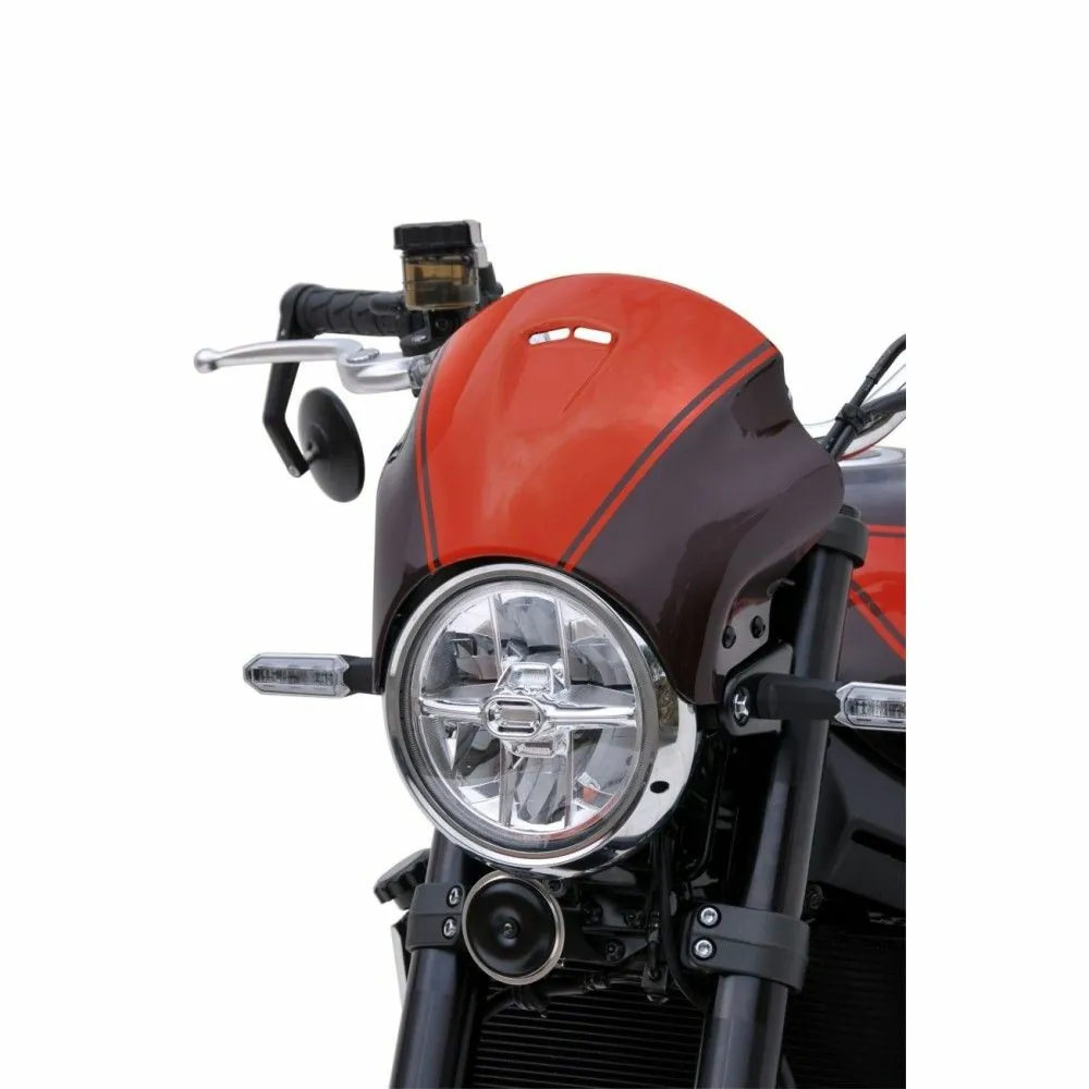 ERMAX Kawasaki Z900 RS 2018 2019 2020 2021 tête de fourche saute vent peint