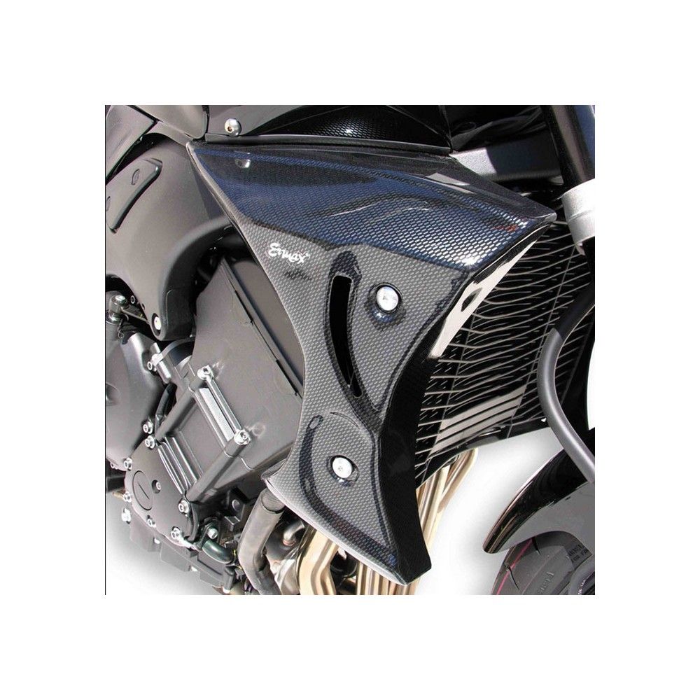 yamaha FZ1 N 2006 to 2015 ERMAX radiator bodyworks PAINTED