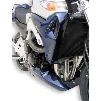 écopes de radiateur peint ermax suzuki GSR 600 2006-2011