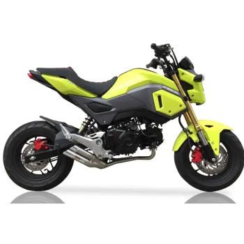 IXIL Honda MSX 125 / GROOM 2013 2019 double full silencer L2X NOT APPROVED ref XH 6315 V