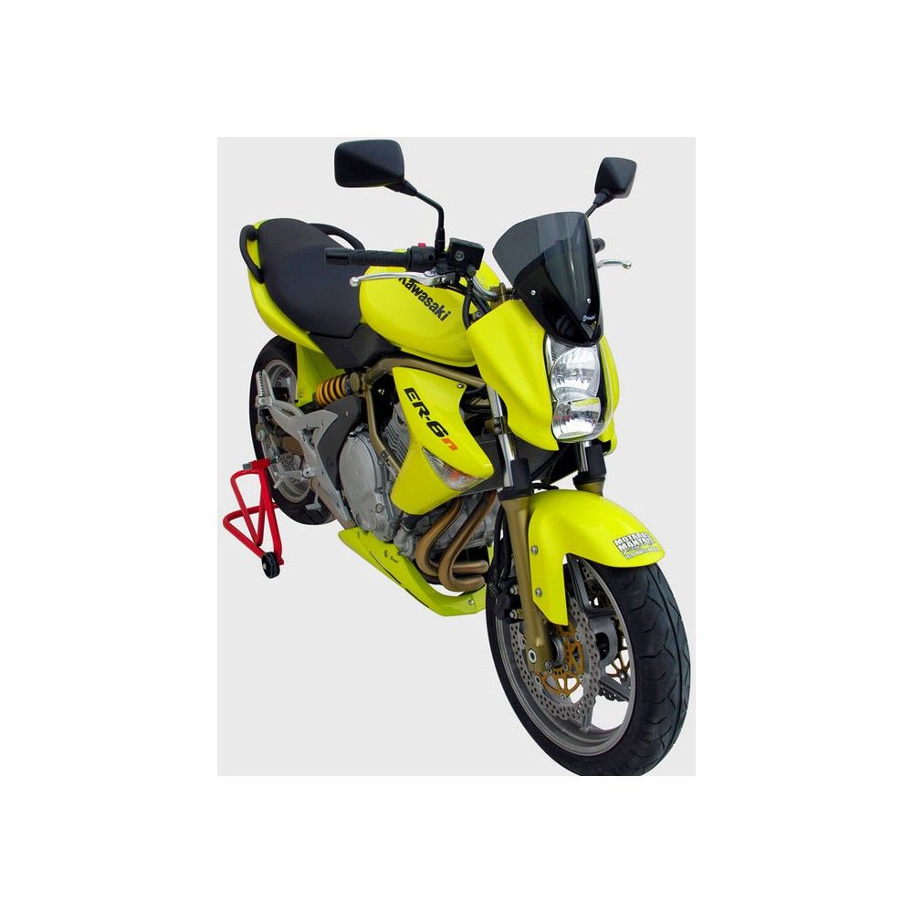 ERMAX rear mudguard painted kawasaki ER6 N F 2006 to 2008