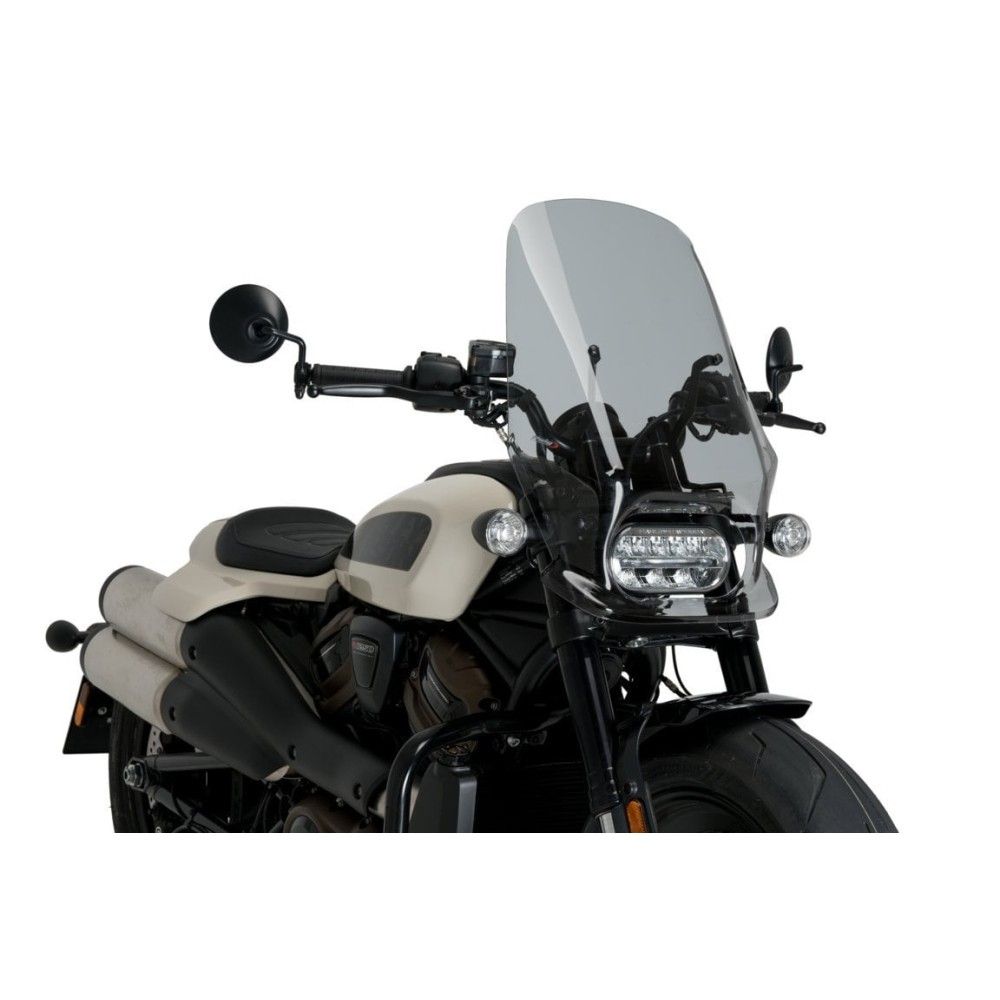 Grille De Protection Radiateur Pour Harley Sportster S 1250 - Noir Métal - LogAuto - Garantie 1 An