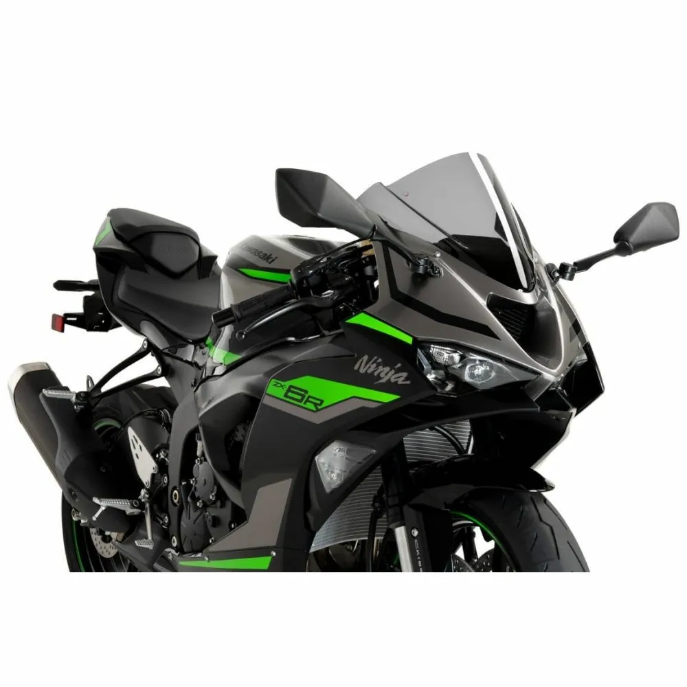 Motorcycle screen