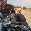 BAGSTER sacoche de réservoir PUPPY moto pour animal 30L - XSR130