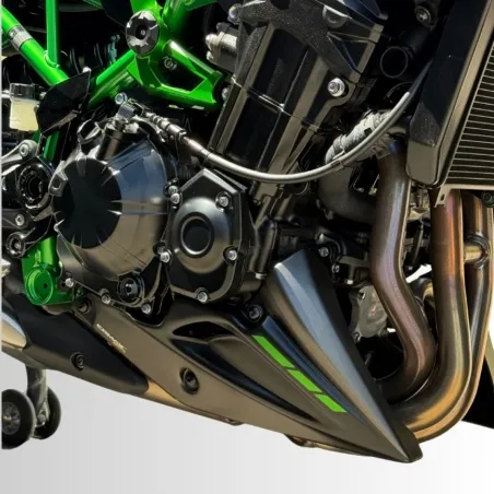 ERMAX engine spoilers KAWASAKI Z 900 / 2025 2026