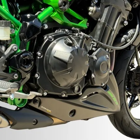 ERMAX engine spoilers KAWASAKI Z 900 / 2025 2026