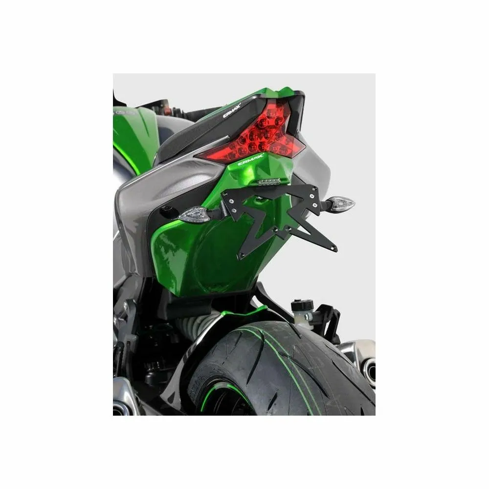 Passage de roue ERMAX peint pour Kawazaki Z1000 modèle 2014 2015 2016 2017 2018 2019 2020 