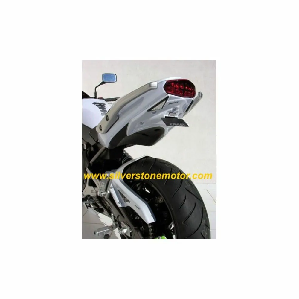 support de plaque ermax peint kawasaki ER6