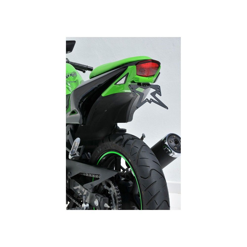 support de plaque brut ermax kawasaki NINJA 250 R 2008-2012