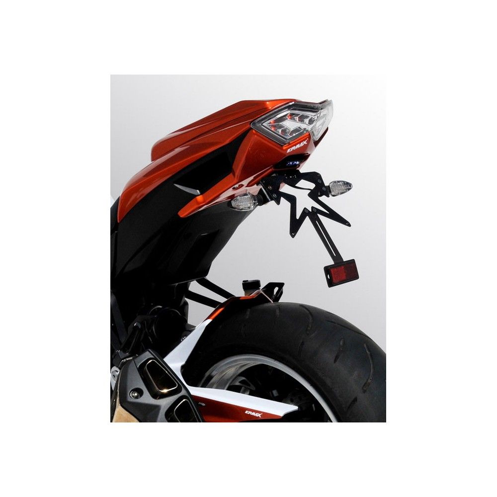 ERMAX painted license plate 1 color kawasaki Z1000 2010 2011 2012