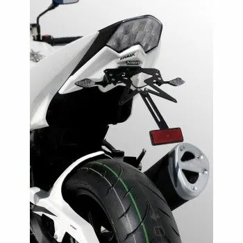 support de plaque peint ERMAX KAWASAKI Z1000