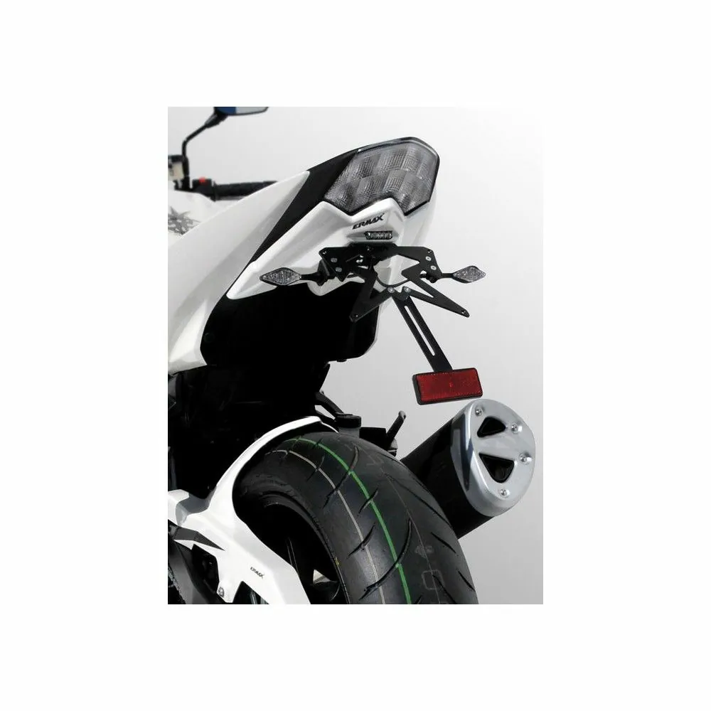 support de plaque peint ERMAX KAWASAKI Z1000