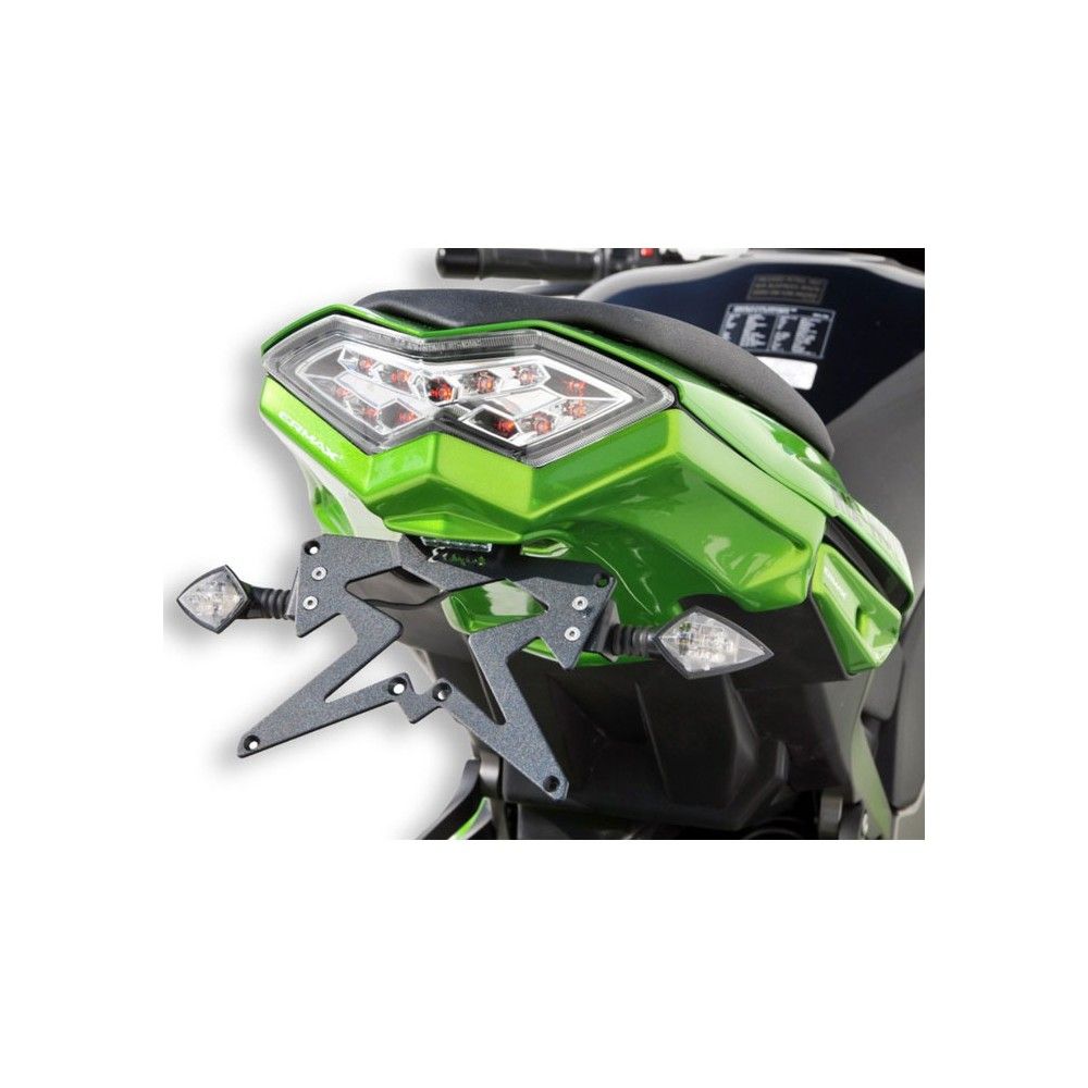 support de plaque peint ermax kawasaki Z1000 SX 2011 2016