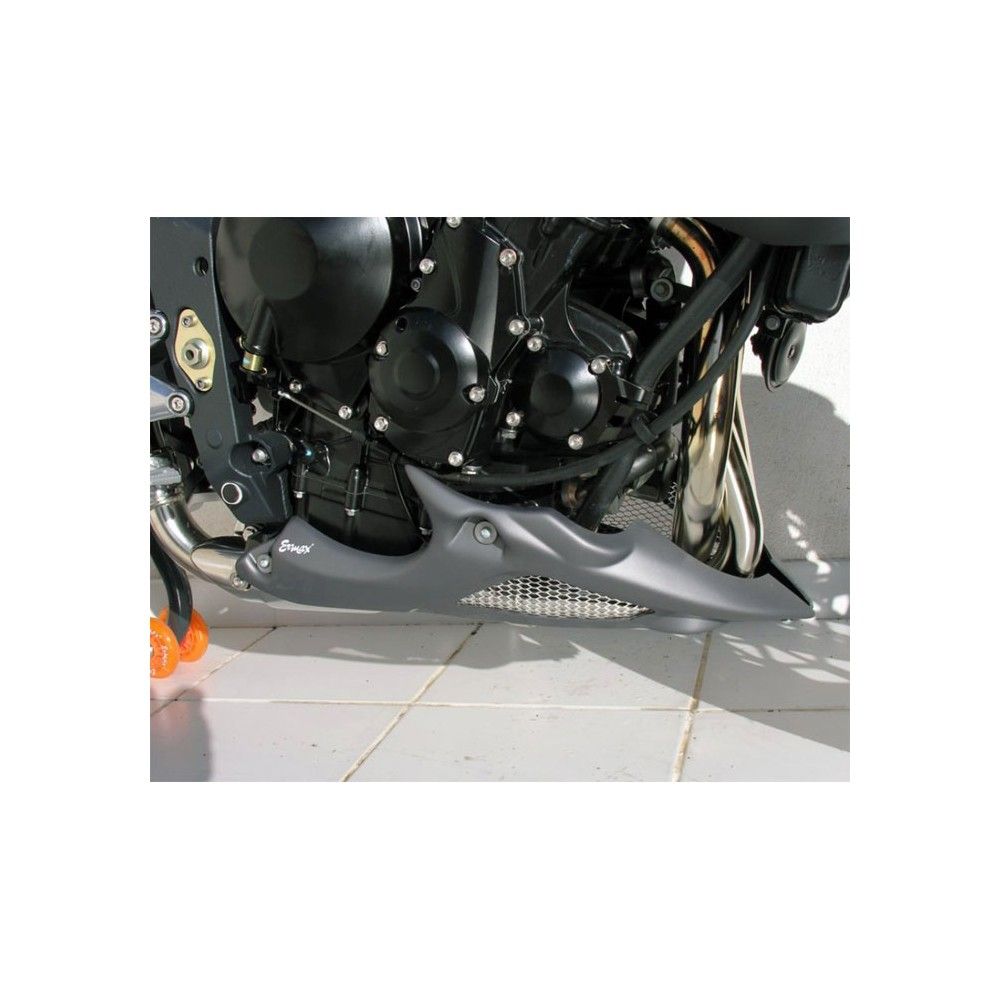 ERMAX raw engine bugspoiler triumph STREET TRIPLE 675 2008-2009-2011