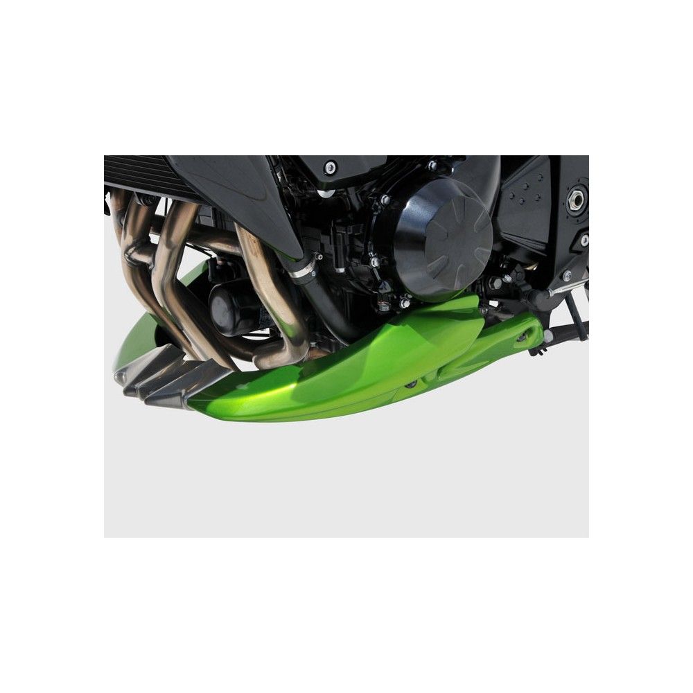 ermax painted EVO engine bugspoiler kawasaki z750 r 2011 2012