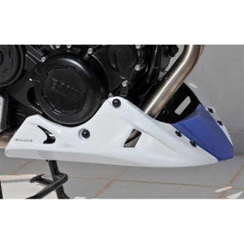 bmw F800 R 2015 2020 EVO engine bugspoiler painted 1 or 2 colors