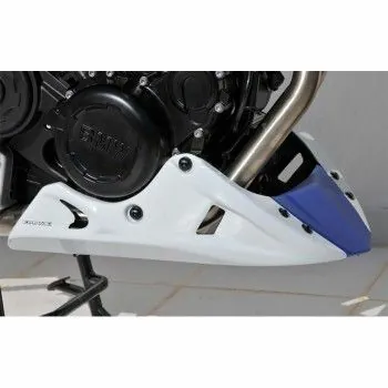 bmw F800 R 2015 2020 sabot moteur EVO PEINT 1 couleur ou bicolore