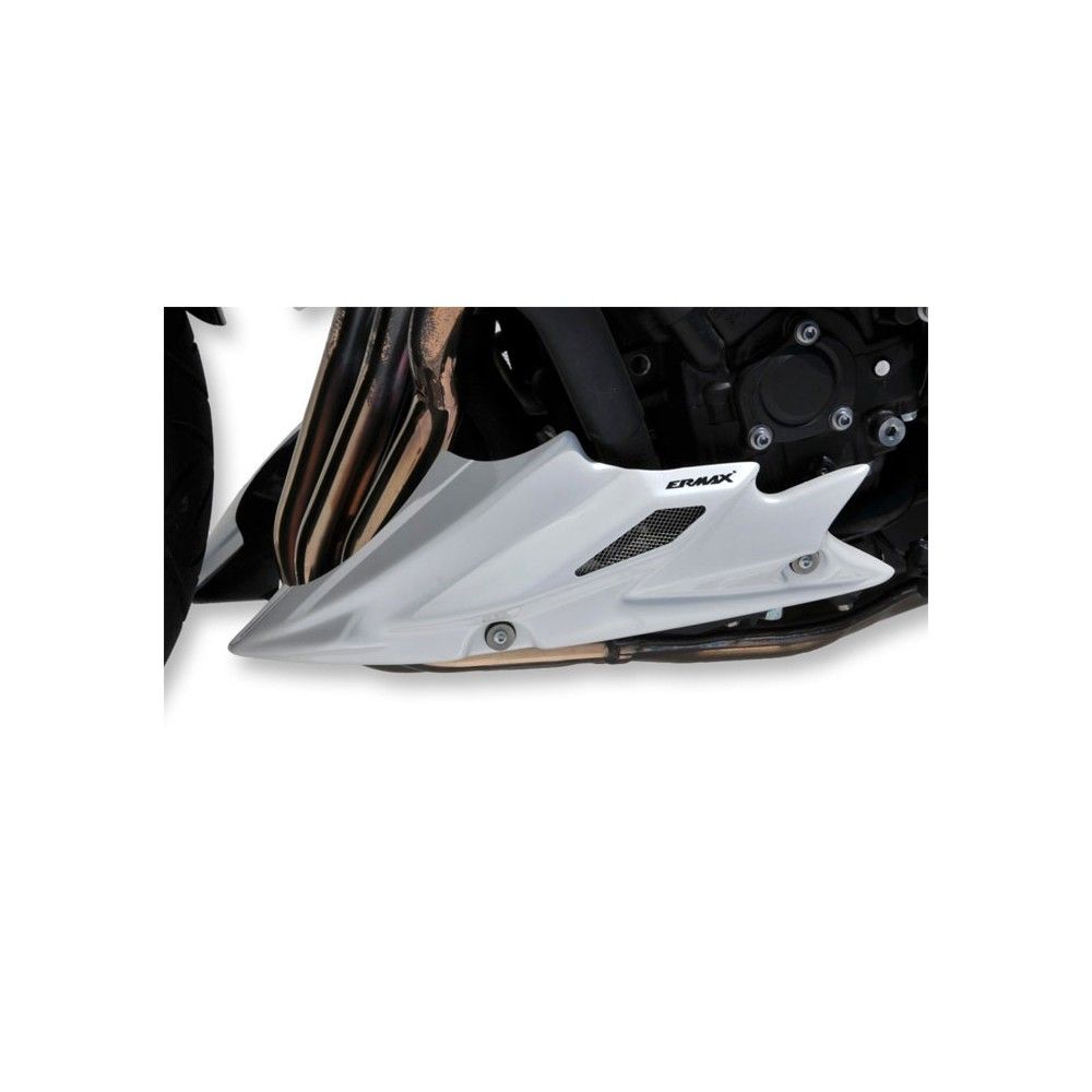 ermax painted engine bugspoiler yamaha FZ8 2010 to 2017