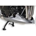 ermax raw engine bugspoiler suzuki GSF 650 Bandit 2009 2015