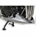 ermax raw engine bugspoiler suzuki GSF 650 Bandit 2009 2015