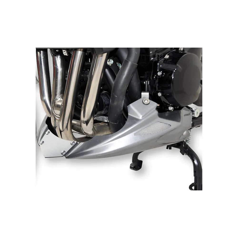ermax raw engine bugspoiler suzuki GSF 650 Bandit 2009 2015