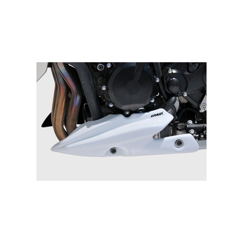 ermax painted engine bugspoiler GSR 750 2011 2016