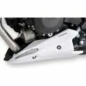 ERMAX painted engine bugspoiler yamaha XJ6 N 2013 2016