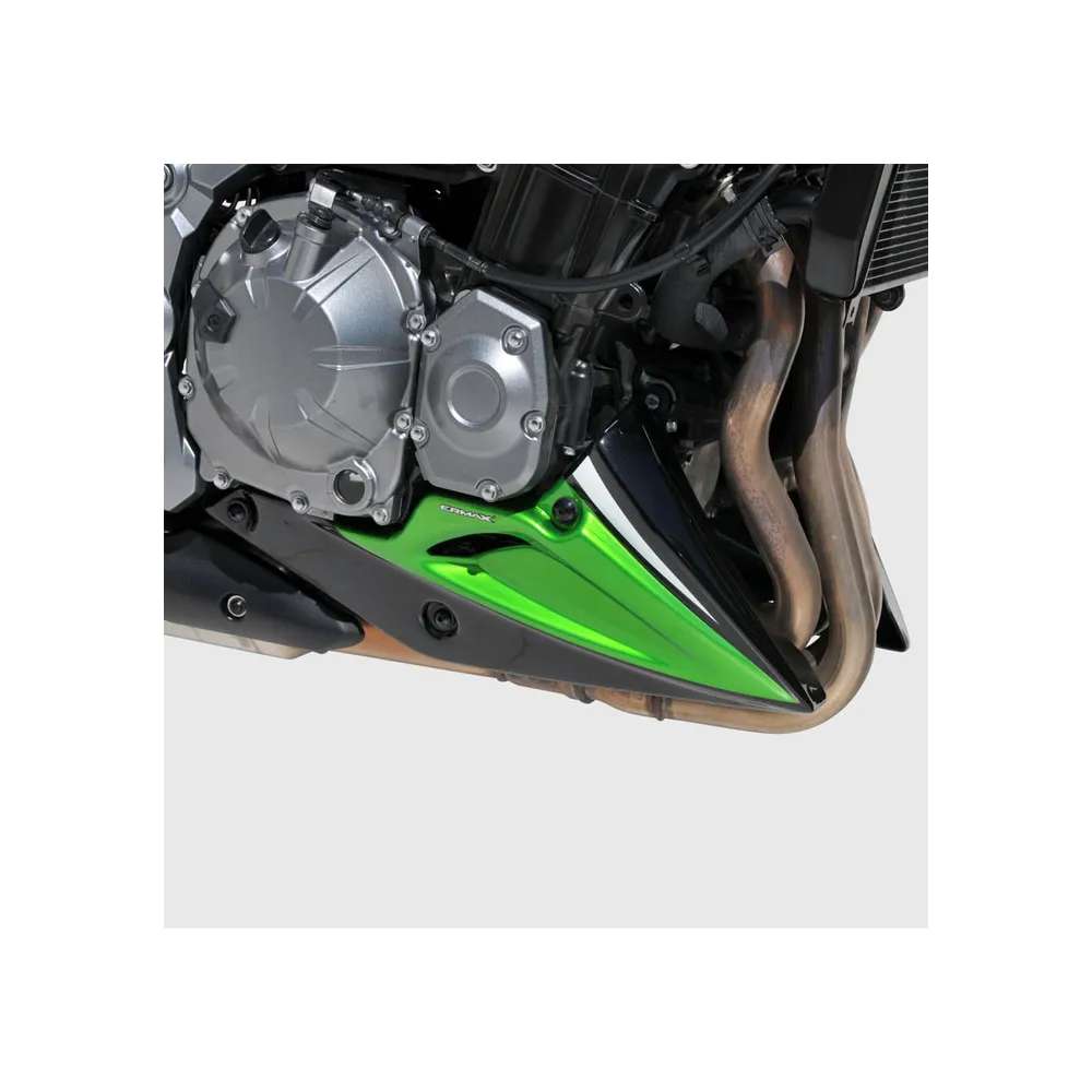 ERMAX Kawasaki Z900 2017 2019 sabot moteur PEINT