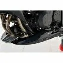 ermax EVO raw engine bugspoiler kawasaki z750 r 2011 2012