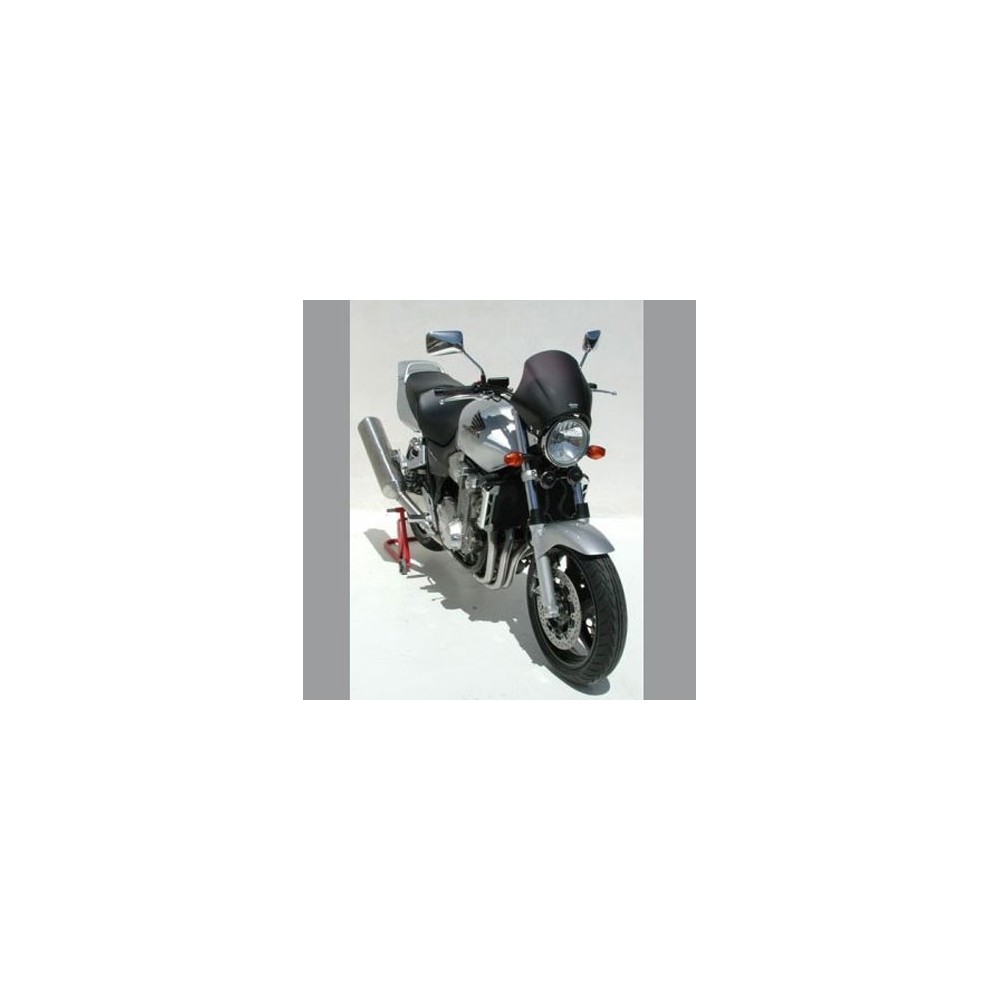 NASTY universal windscreen for motorcycle roadster 29cm