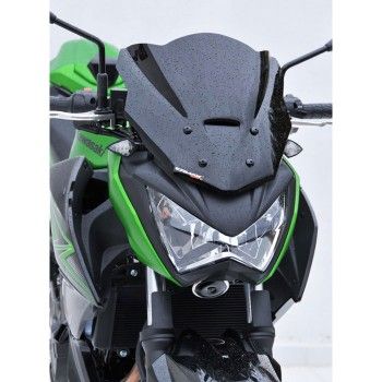 kawasaki Z300 2015 2016 2017 ermax sport screen