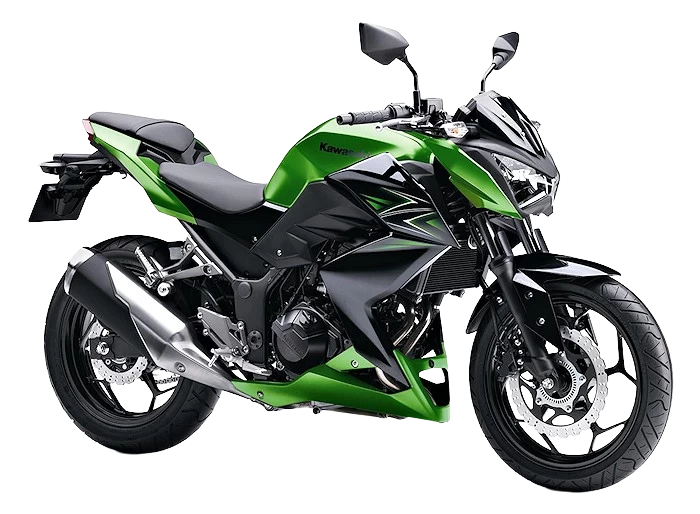 Z250 / Z300