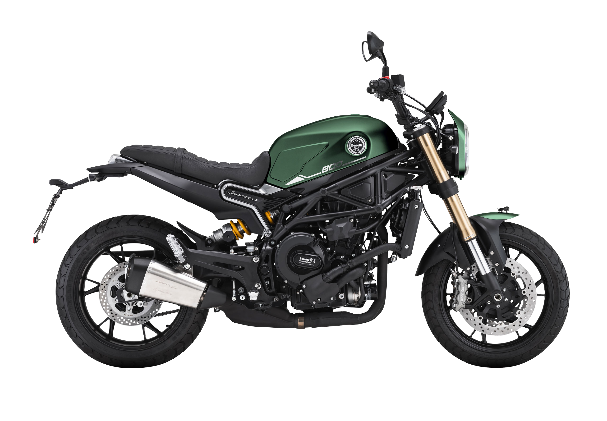 LEONCINO 800